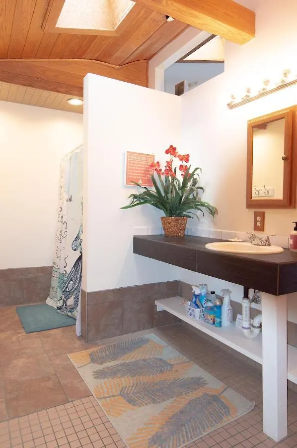 508 B The Upper Bungalow Virginia Beach